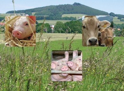 Zur Auflockerung Website_7 Gross