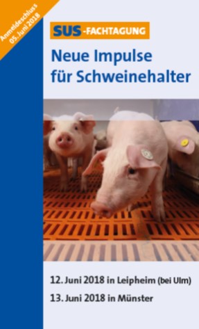 Bild1
